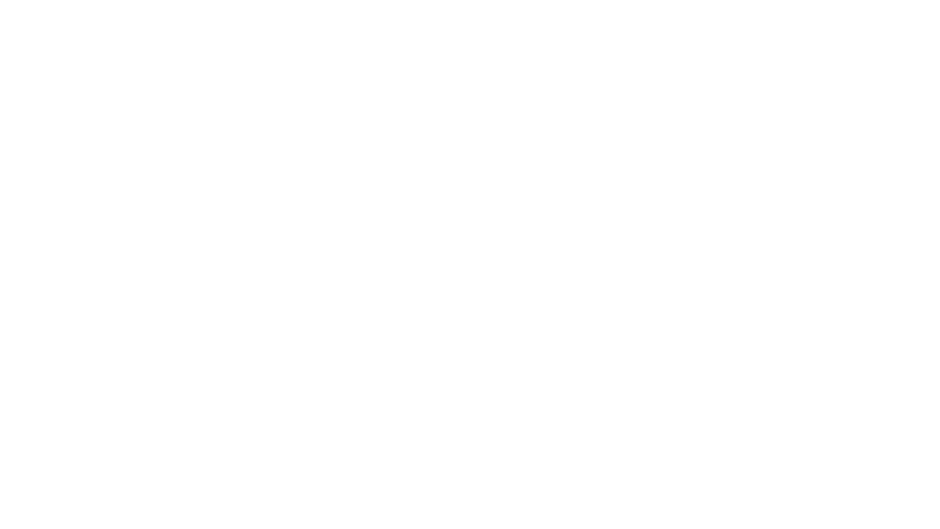 Duwe-3d Logo weiß.png