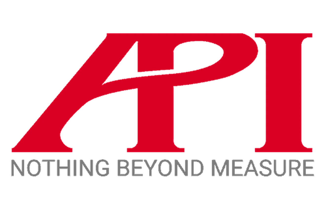 API Logo auf dem 21. PolyWorks Anwendertreffen 2024 von Duwe-3d  in der Inselhalle Lindau am Bodensee