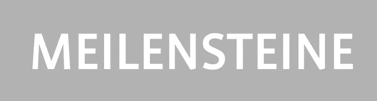 MEILENSTEINE.jpg